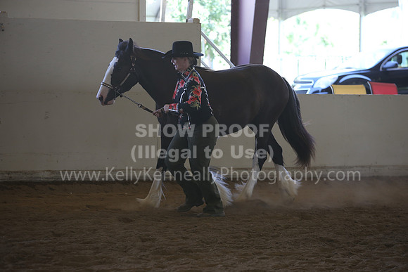 MLMH_2018_2882