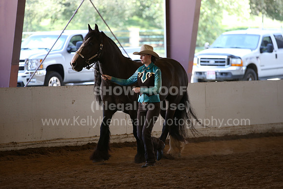 MLMH_2018_2883