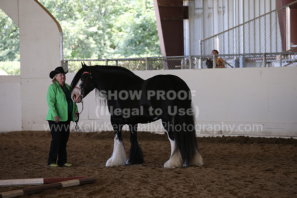 MLMH_2018_2910