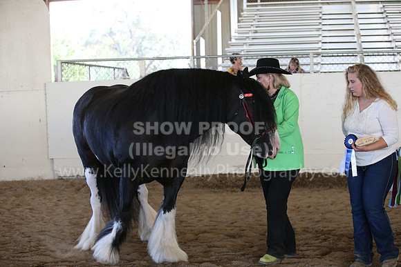 MLMH_2018_2919