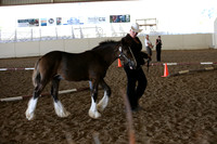 MLMH_2018_2927
