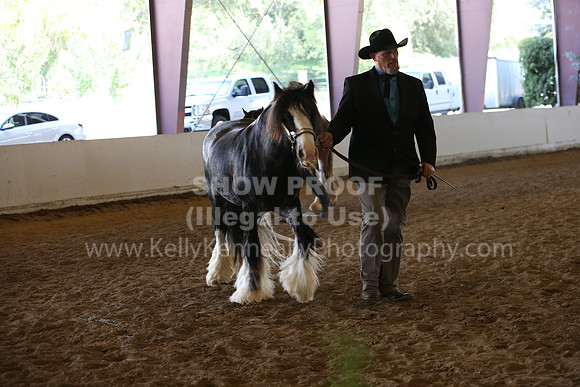 MLMH_2018_2928