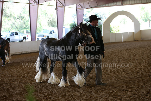 MLMH_2018_2929