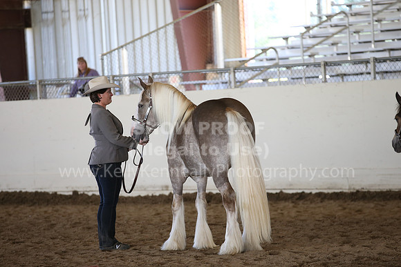 MLMH_2018_2931