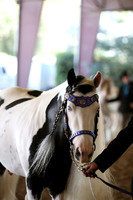 MLMH_2018_2960