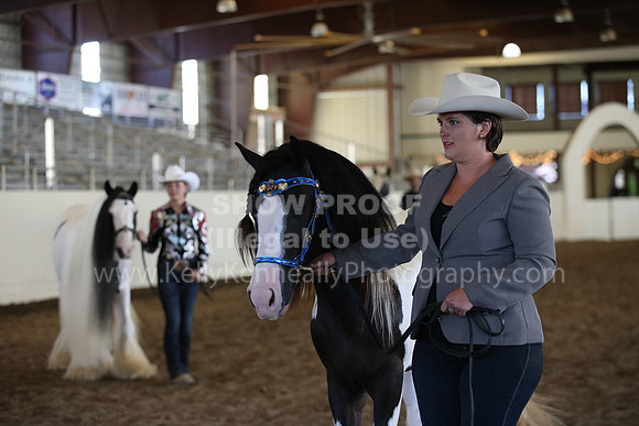 MLMH_2018_2974