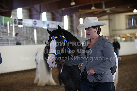 MLMH_2018_2975