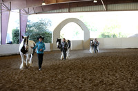 MLMH_2018_2977