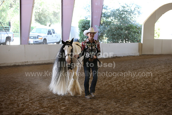 MLMH_2018_2989