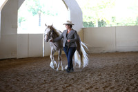 Class 94 Gypsy Amateur Halter