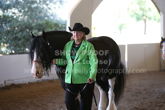 MLMH_2018_3018