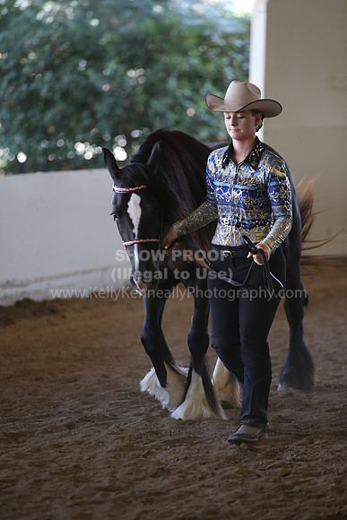 MLMH_2018_3024