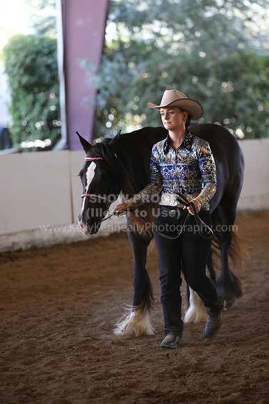 MLMH_2018_3026