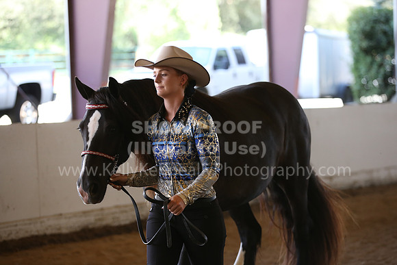 MLMH_2018_3029