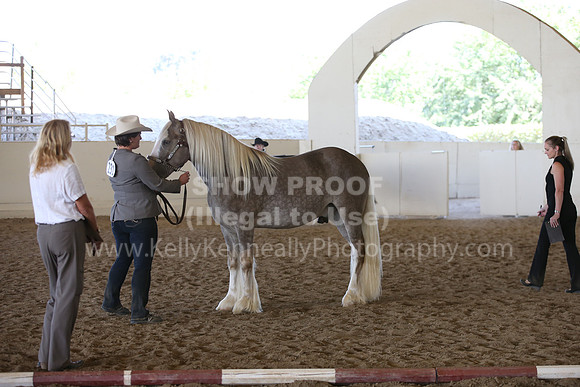 MLMH_2018_3030