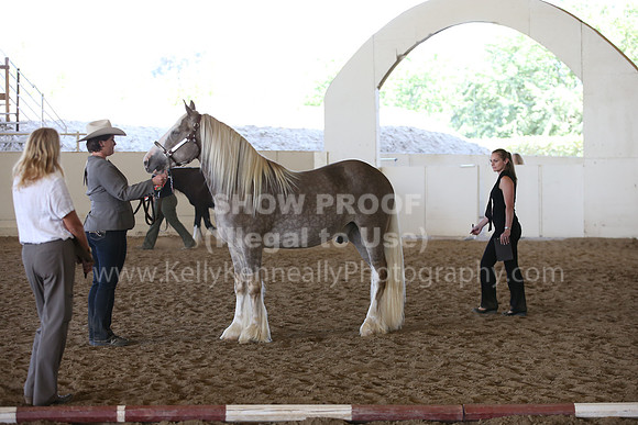 MLMH_2018_3031