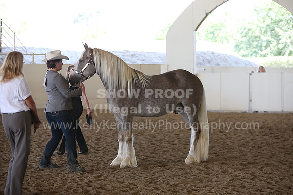 MLMH_2018_3032