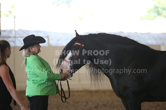 MLMH_2018_3036