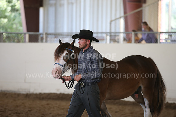 MLMH_2018_3041