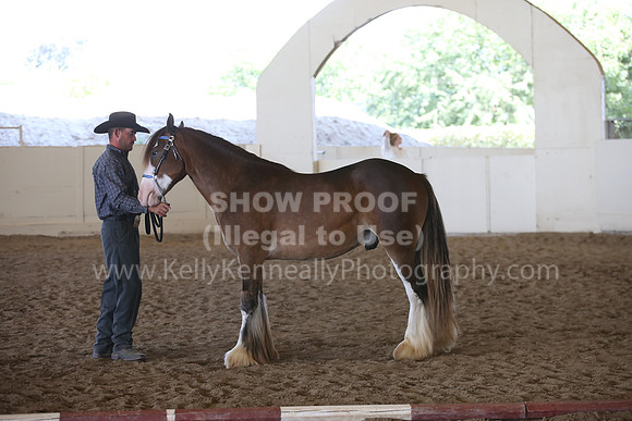 MLMH_2018_3042