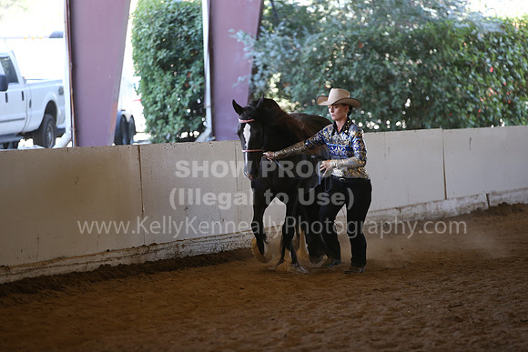 MLMH_2018_3055