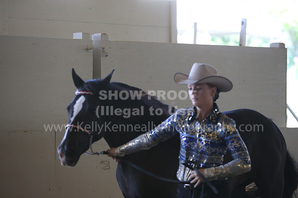 MLMH_2018_3058