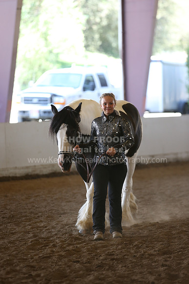 MLMH_2018_3070