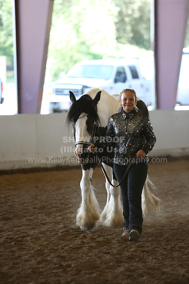 MLMH_2018_3071