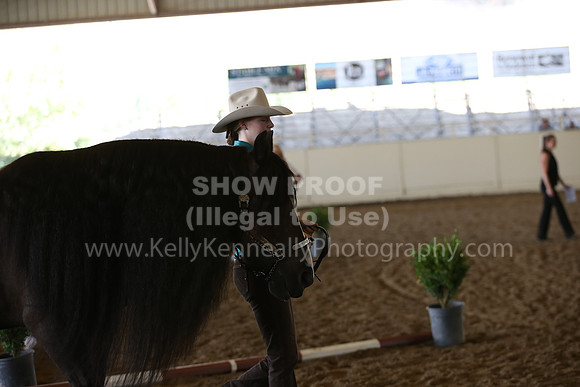 MLMH_2018_3068