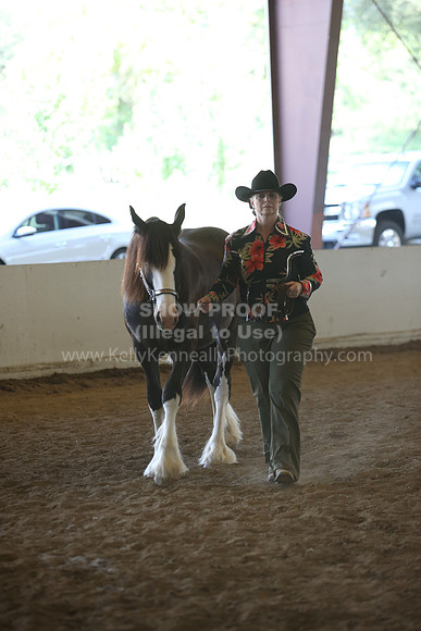 MLMH_2018_3073