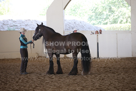 MLMH_2018_3074