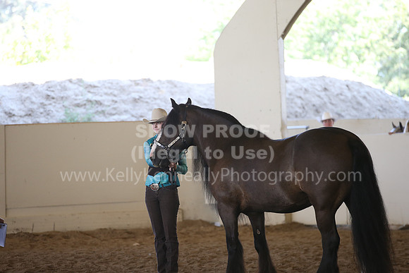 MLMH_2018_3076