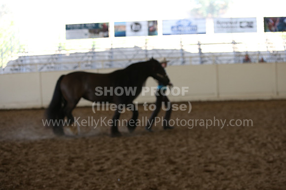MLMH_2018_3081