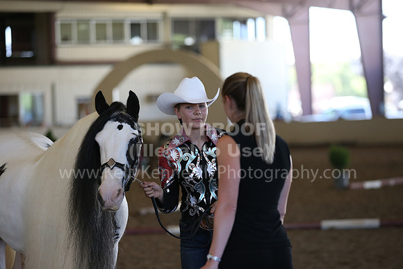 MLMH_2018_3087