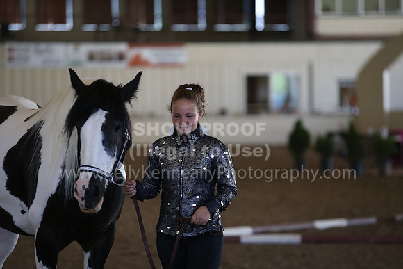 MLMH_2018_3095