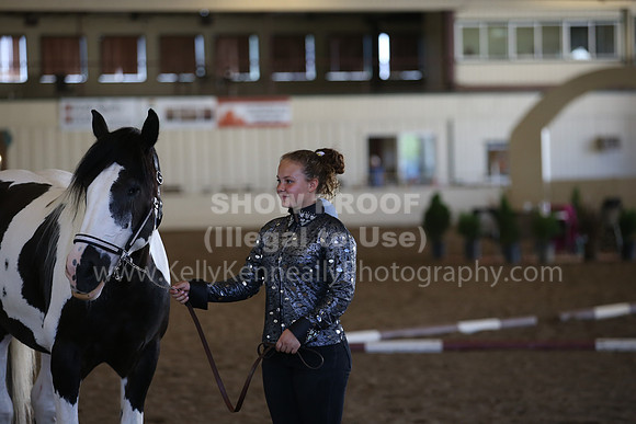 MLMH_2018_3097