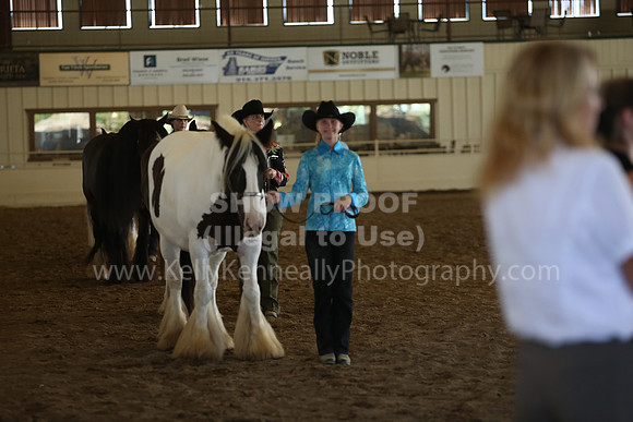 MLMH_2018_3098