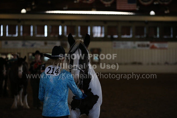 MLMH_2018_3105