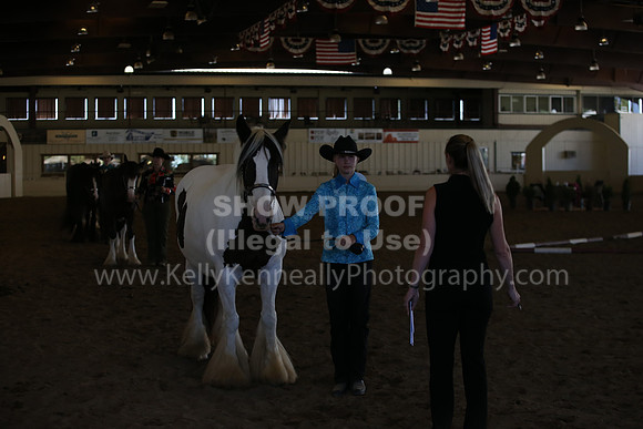 MLMH_2018_3108