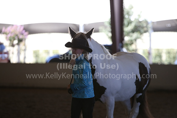 MLMH_2018_3112