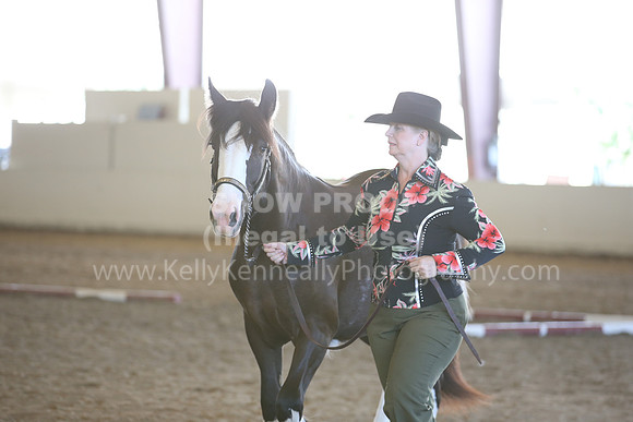 MLMH_2018_3128