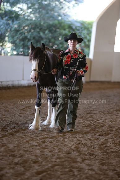 MLMH_2018_3140