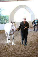 Class 96 Gypsy Showmanship Open