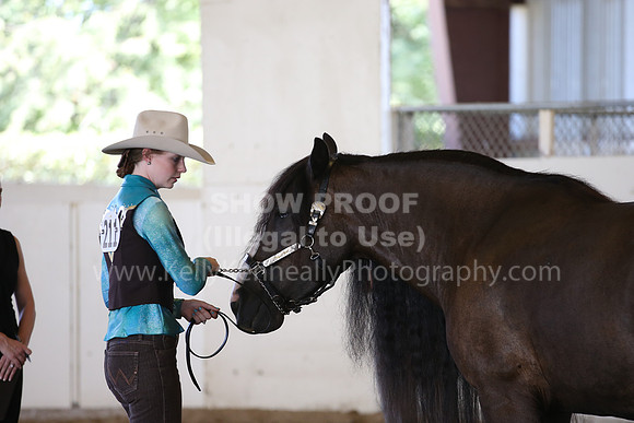 MLMH_2018_3146