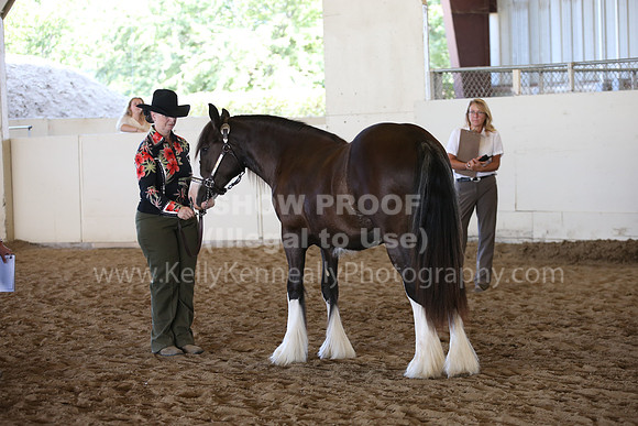 MLMH_2018_3155