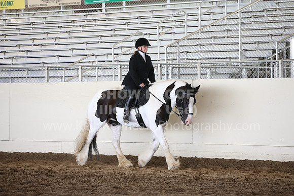 MLMH_2018_5307