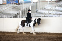 MLMH_2018_5309