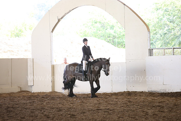 MLMH_2018_5318