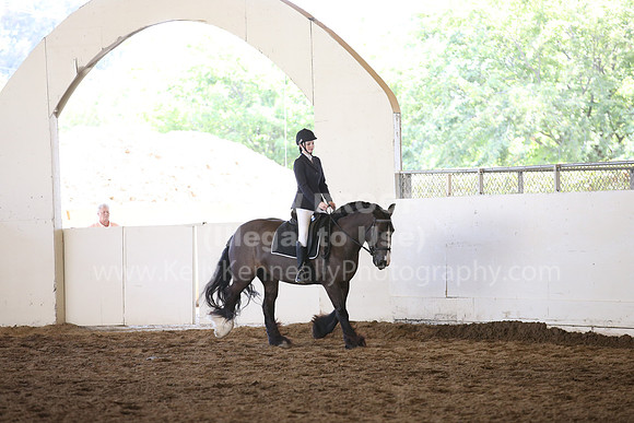 MLMH_2018_5319