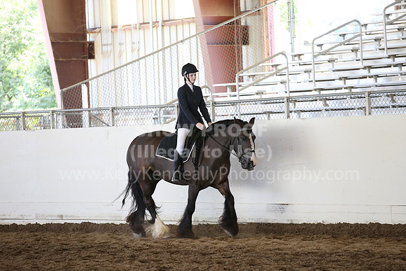 MLMH_2018_5322